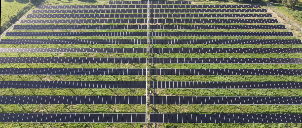 Rows of solar panels powering OlymPak packaging production
